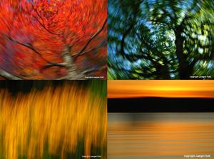 Mastering the Art of Intentional Camera Movement published by Apogee Photo Magazine